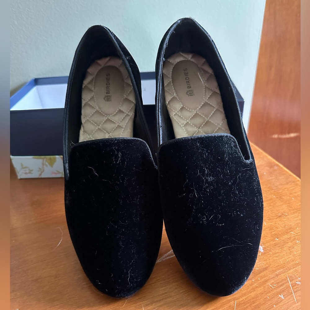 Birdies Black Velvet Loafer